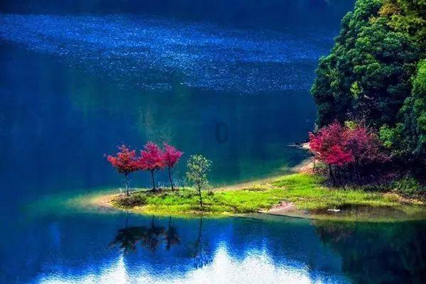 牛油果面包