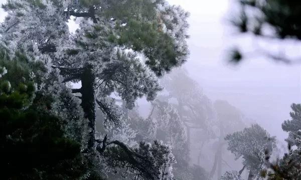 遂平县局专项检查防雷防静电安全